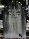 image of grave number 801951